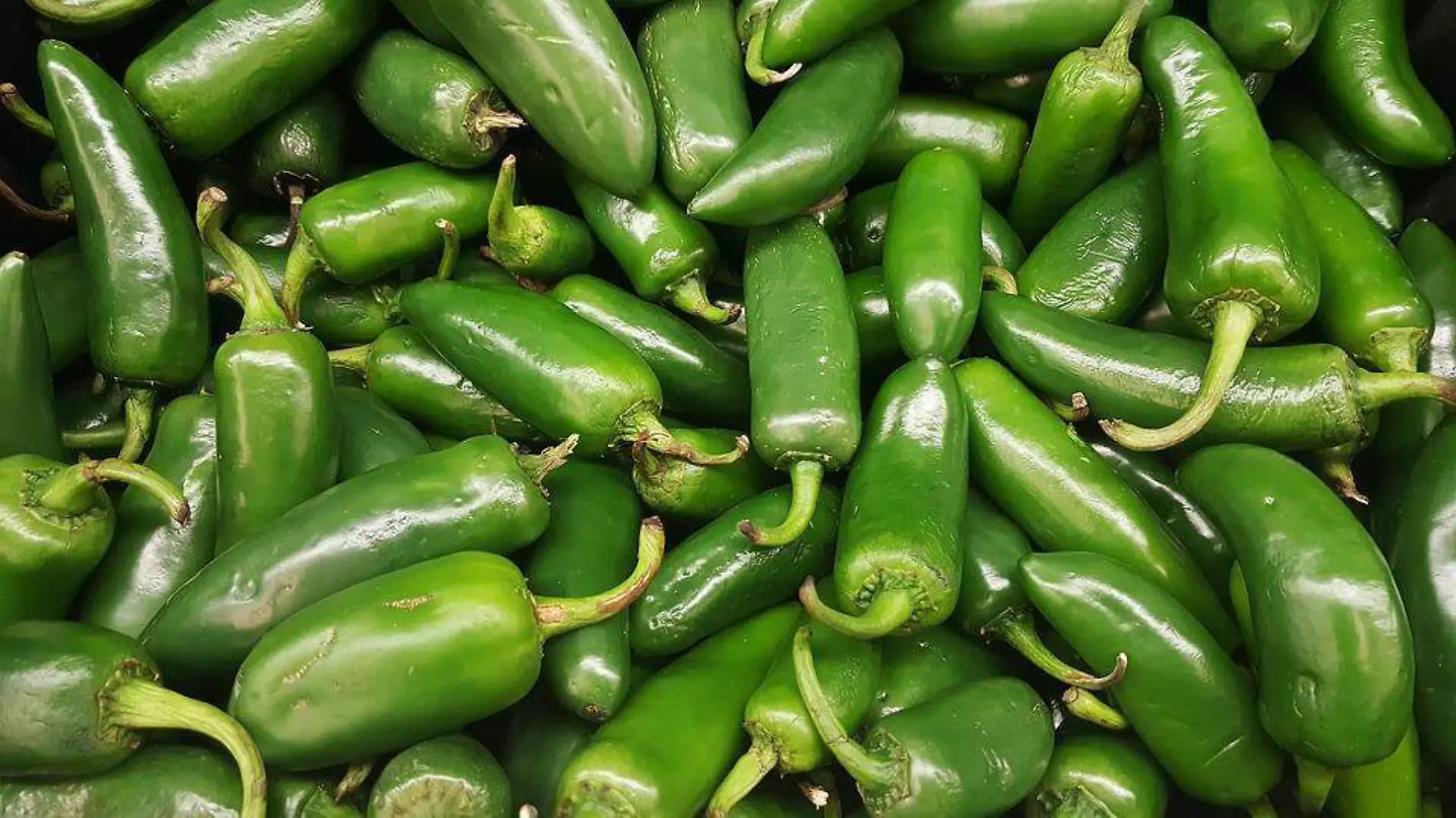 chile jalapeño